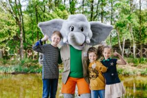 Terugblik Vigere 5 jaar