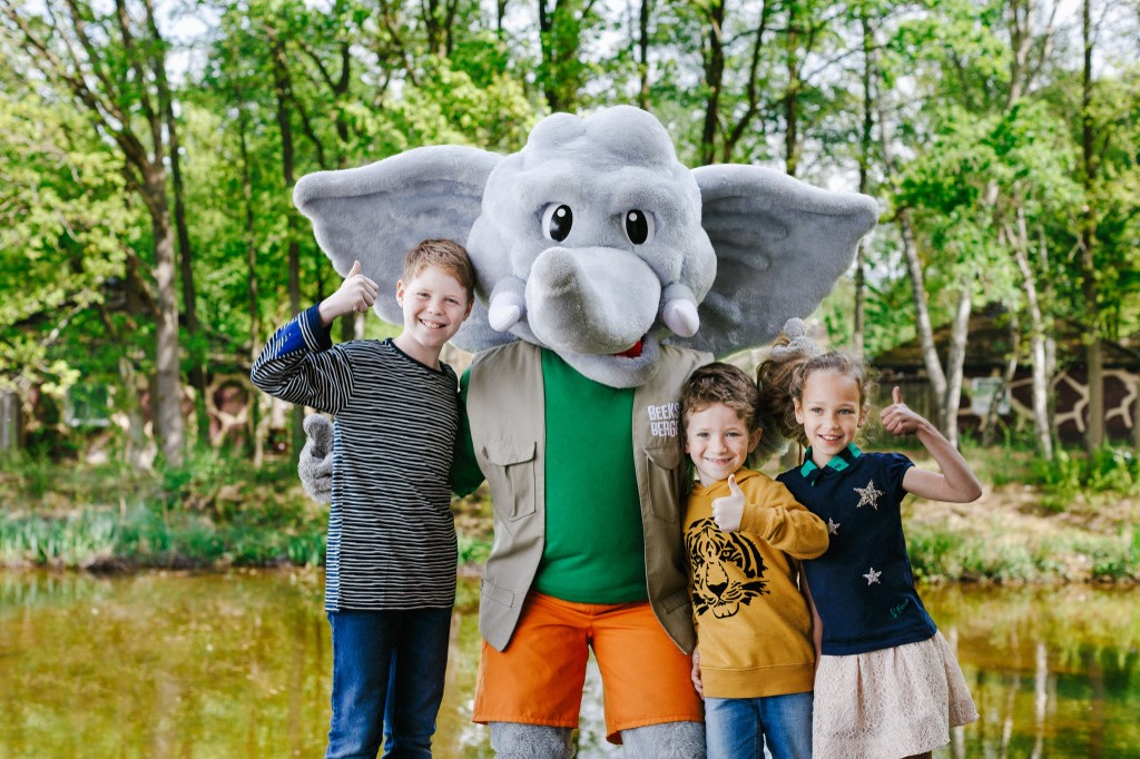 Terugblik Vigere 5 jaar
